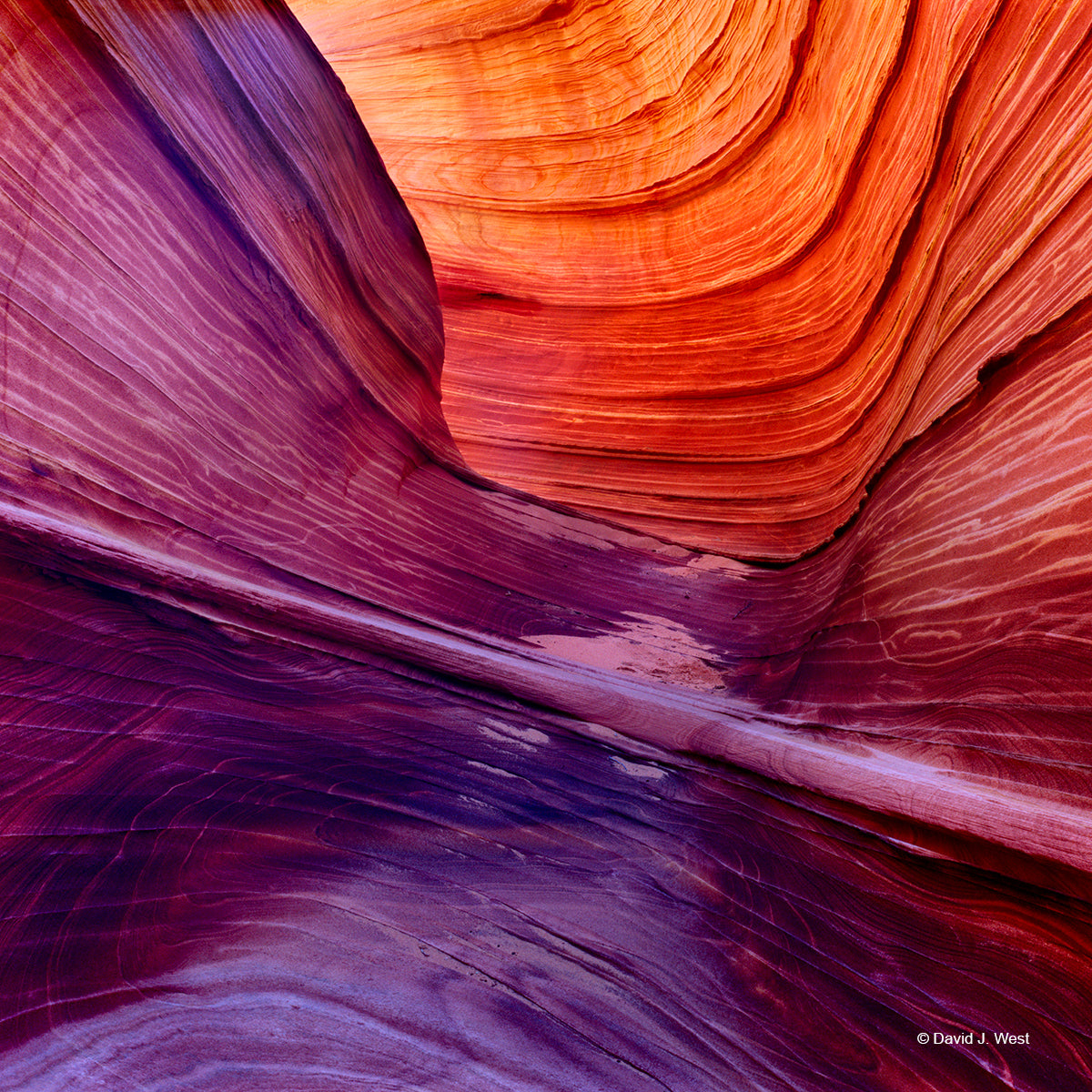 Kaleidoscope Square – David J. West Gallery