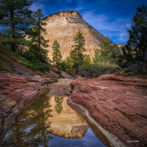 Checkerboard Reflection Square