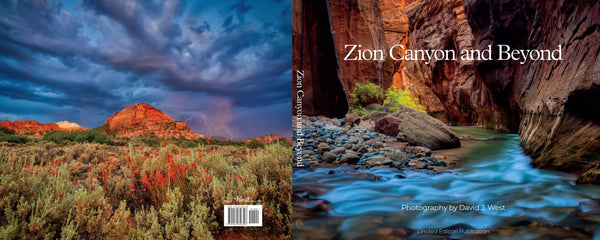 Book cover with desert landscape and Zion Canyon scene, featuring 'Zion Canyon and Beyond' text.