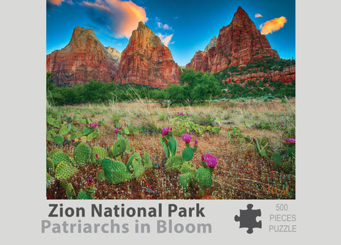 Zion Puzzle - Patriarchs in Bloom 500
