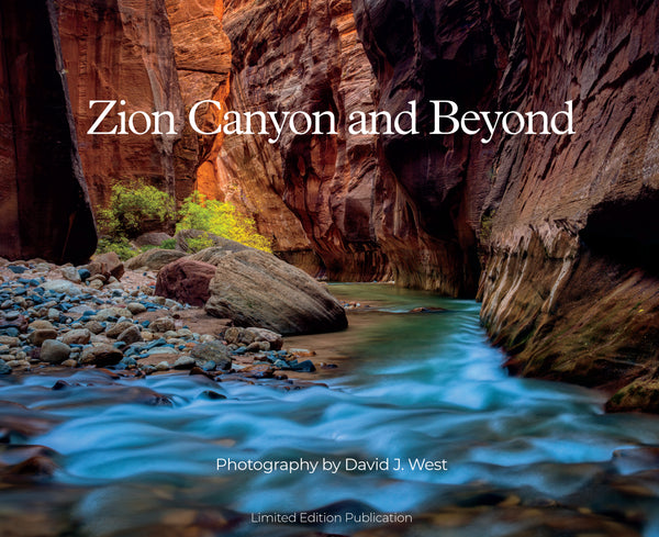 Book cover of 'Zion Canyon and Beyond' with a canyon scene and flowing water.