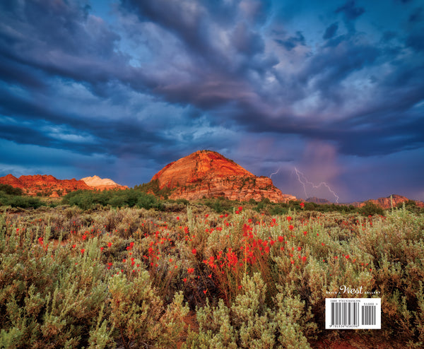Desert landscape with red rock formations and a stormy sky.