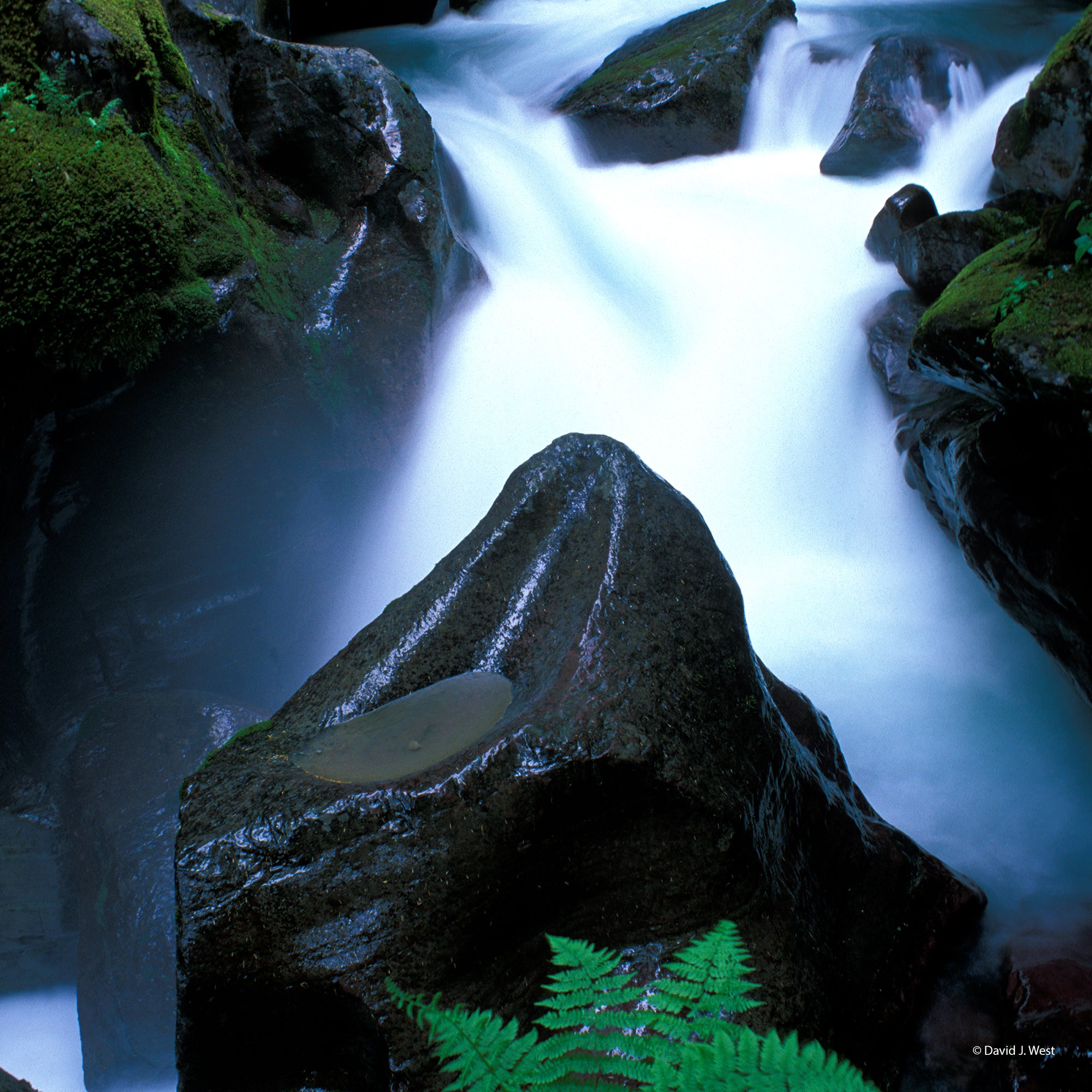 Avalanche Creek Square