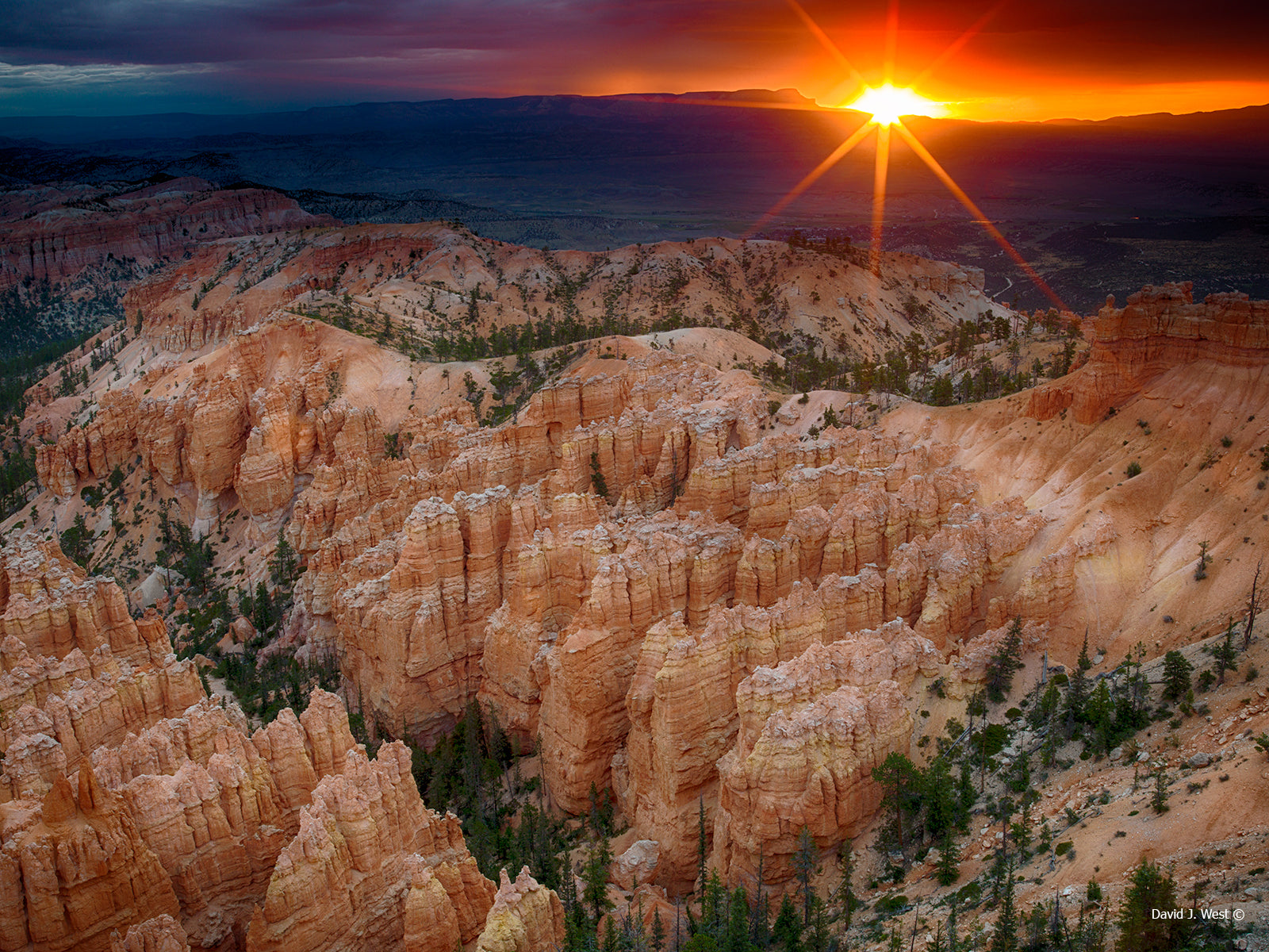 BRYCE SUNRISE LIMITED