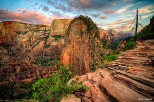 IMAGINE ANGELS LANDING