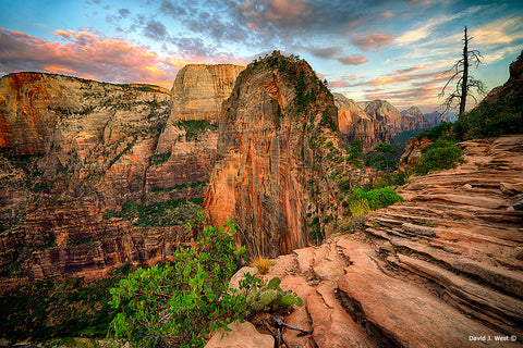 IMAGINE ANGELS LANDING