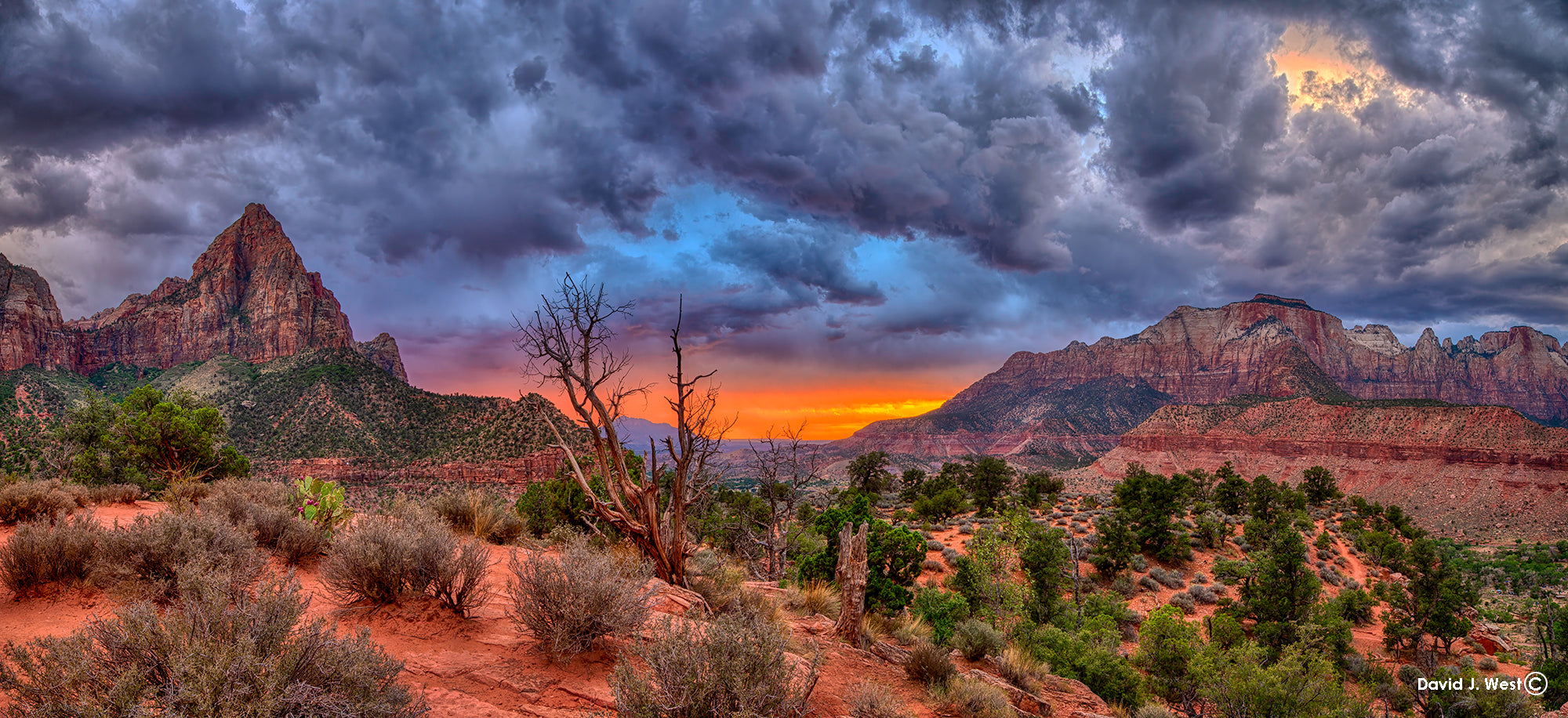 Sandstone Sentinels