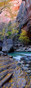 AUTUMN IN THE NARROWS