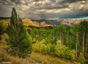 Ceded Raining CEDAR BREAKS IN RAIN – David J. West Gallery