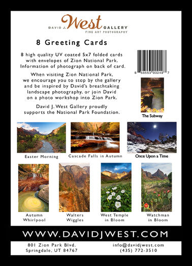 5x7 Boxset of 8 Greeting Cards
