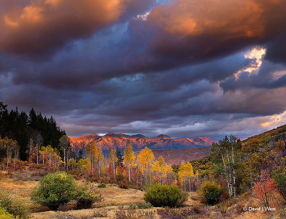 Other Photographs – David J. West Gallery