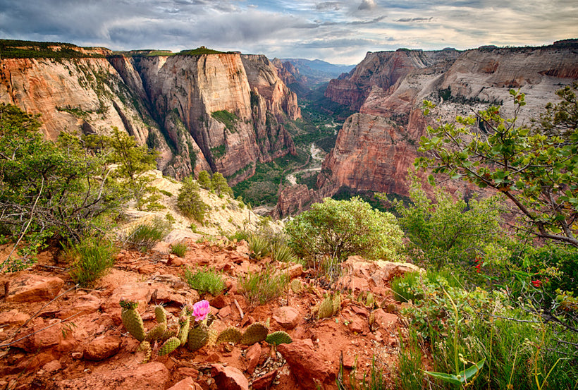 Zion National Park