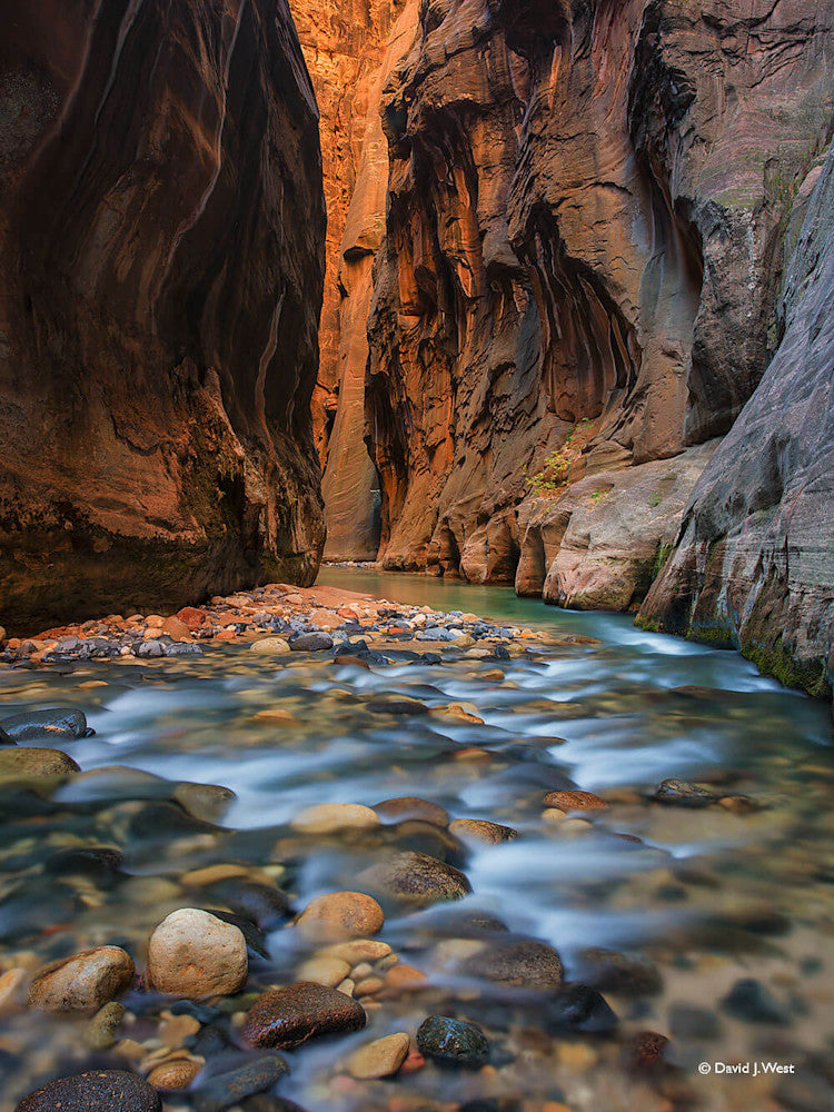 Zion National Park – David J. West Gallery