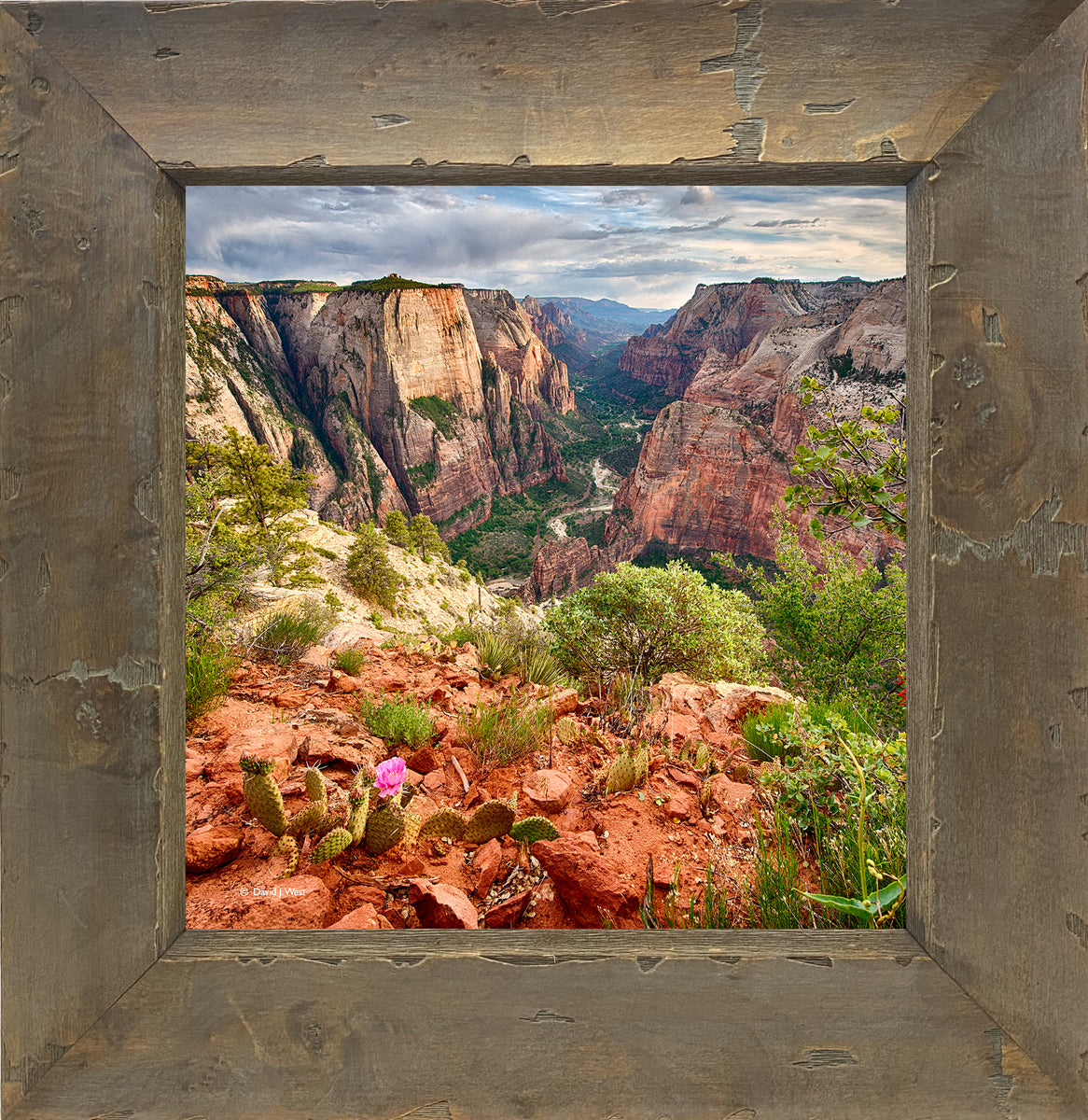 Zion Spring Square – David J. West Gallery