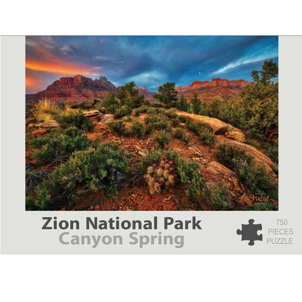 Zion Puzzle - Canyon Spring 750 – David J. West Gallery
